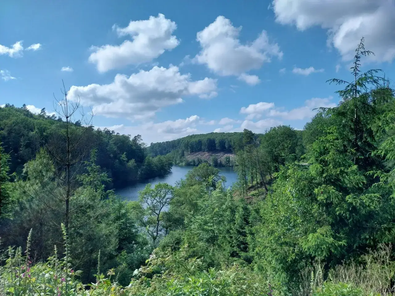Idyllische Seenlandschaft am Pfaffenberg Solingen, umgeben von &uuml;ppigem Gr&uuml;n und bew&ouml;lktem Himmel.