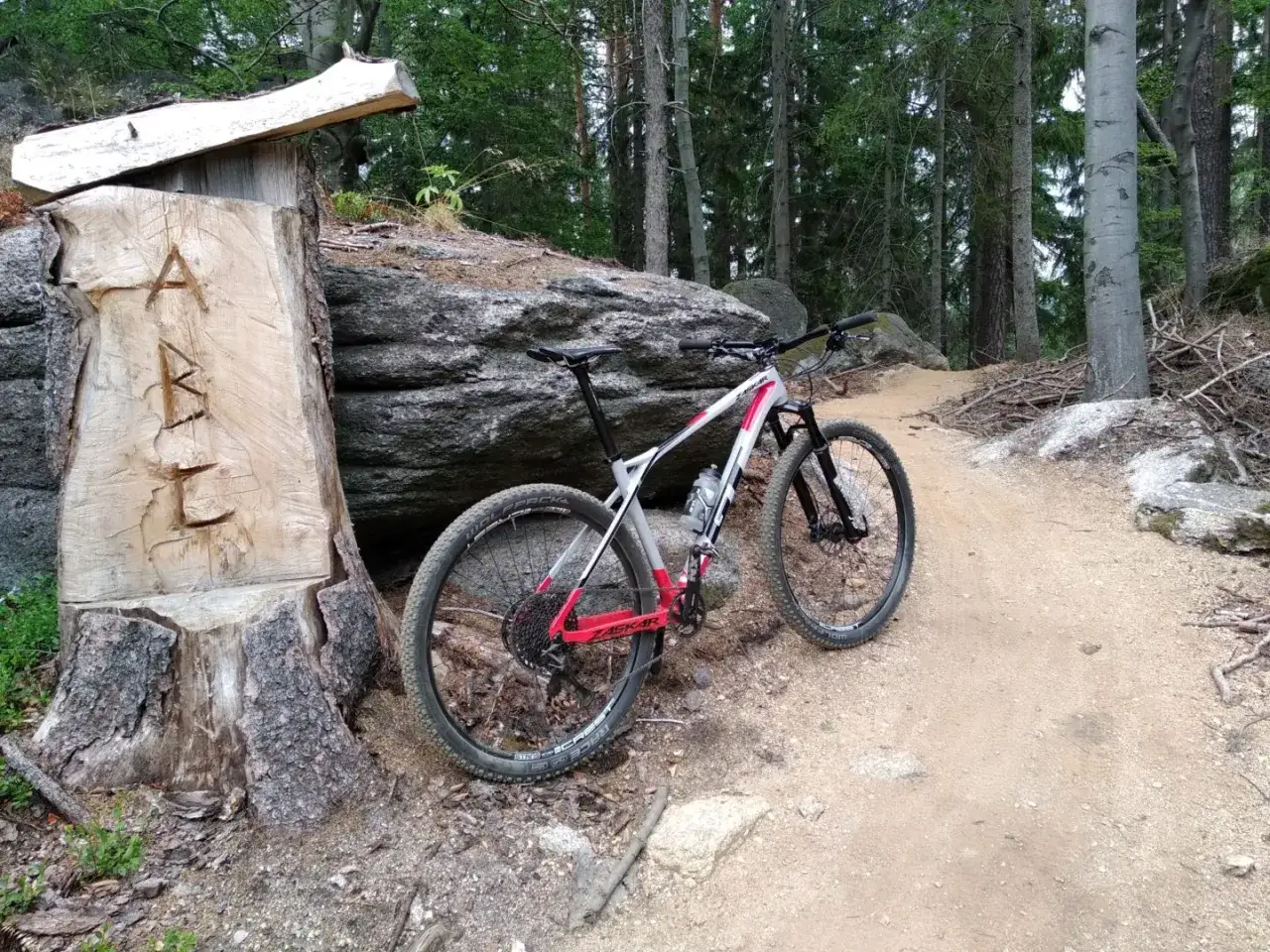 Rower mtb xc czeka na przygodę w lesie, obok drewnianego znaku.