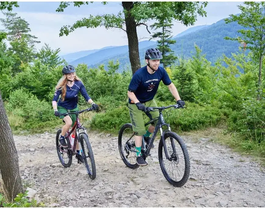 rowerzysta MTB w lesie i szosowiec na drodze