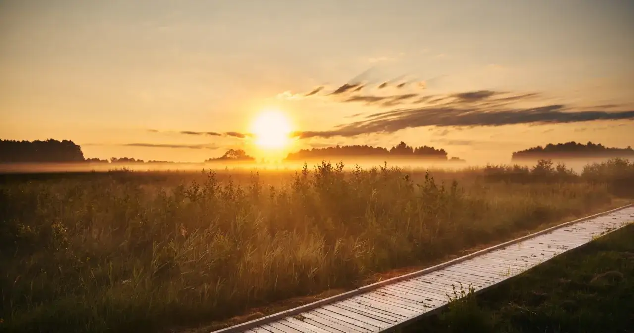 Wsch&oacute;d słońca nad bagienną łąką, mgła unosząca się nad trawami. Drewniana kładka zaprasza do odkrywania **poleski park narodowy atrakcje**.