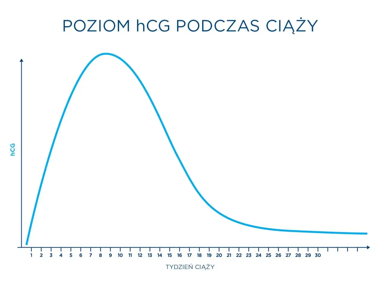 Wykres pokazuje poziom hCG w ciąży. Czy spadek hCG zawsze oznacza utratę ciąży? Niekoniecznie, krzywa pokazuje naturalny spadek po szczycie.