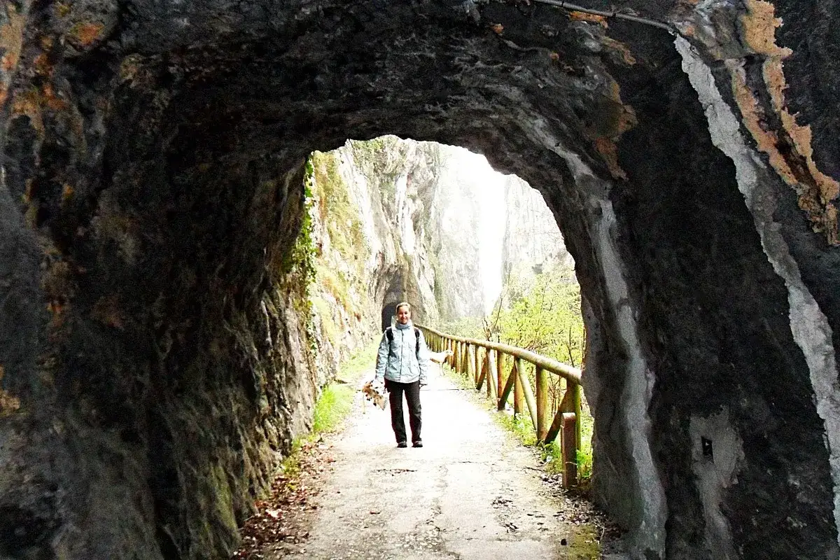 Persona camina por la ruta del oso, un sendero rocoso con vallas de madera y vegetaci&oacute;n.