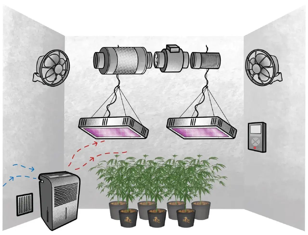 Sistema di coltivazione indoor con luci LED, ventilatori, estrattore e un **ozonizzatore** per eliminare odori e **muffa**.