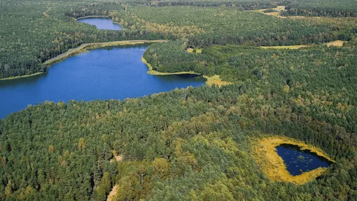 Krajobraz Borów Tucholskich z jeziorem i lasem