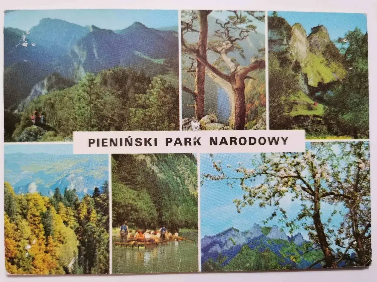 Pieniński Park Narodowy ciekawostki: malownicze góry, prastare drzewa, spływ tratwą po Dunajcu i kwitnące sady.
