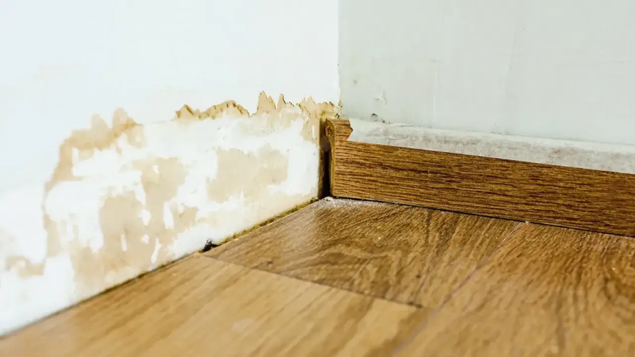 Esquina de pared con manchas de humedad y z&oacute;calo de madera. Aprende como quitar humedad de la pared para evitar da&ntilde;os mayores.