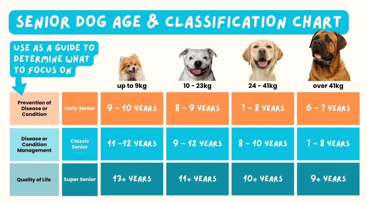 Chart showing how to tell how old a dog is by weight and age, with categories for prevention, management, and quality of life.