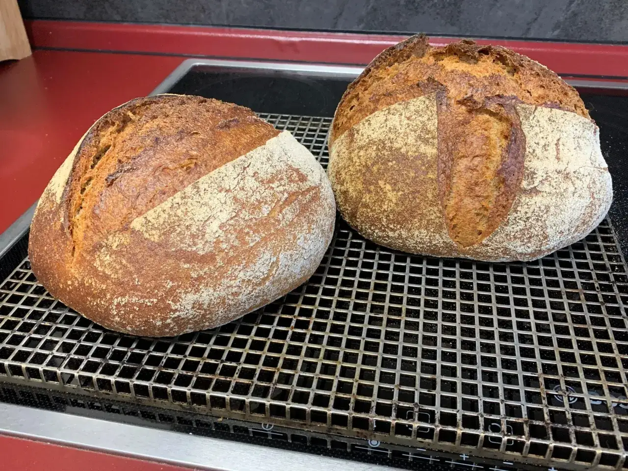 Zwei frisch gebackene, goldbraune Brote mit knuspriger Kruste ruhen auf einem Gitter. Dieses 60 Stunden Brot ist ein Meisterwerk der Geduld und des Geschmacks.