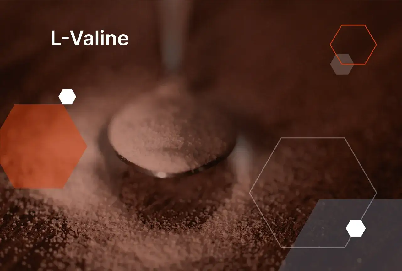 L-Valin: feines Pulver auf einem Löffel, das die Wirkung dieser Aminosäure symbolisiert.