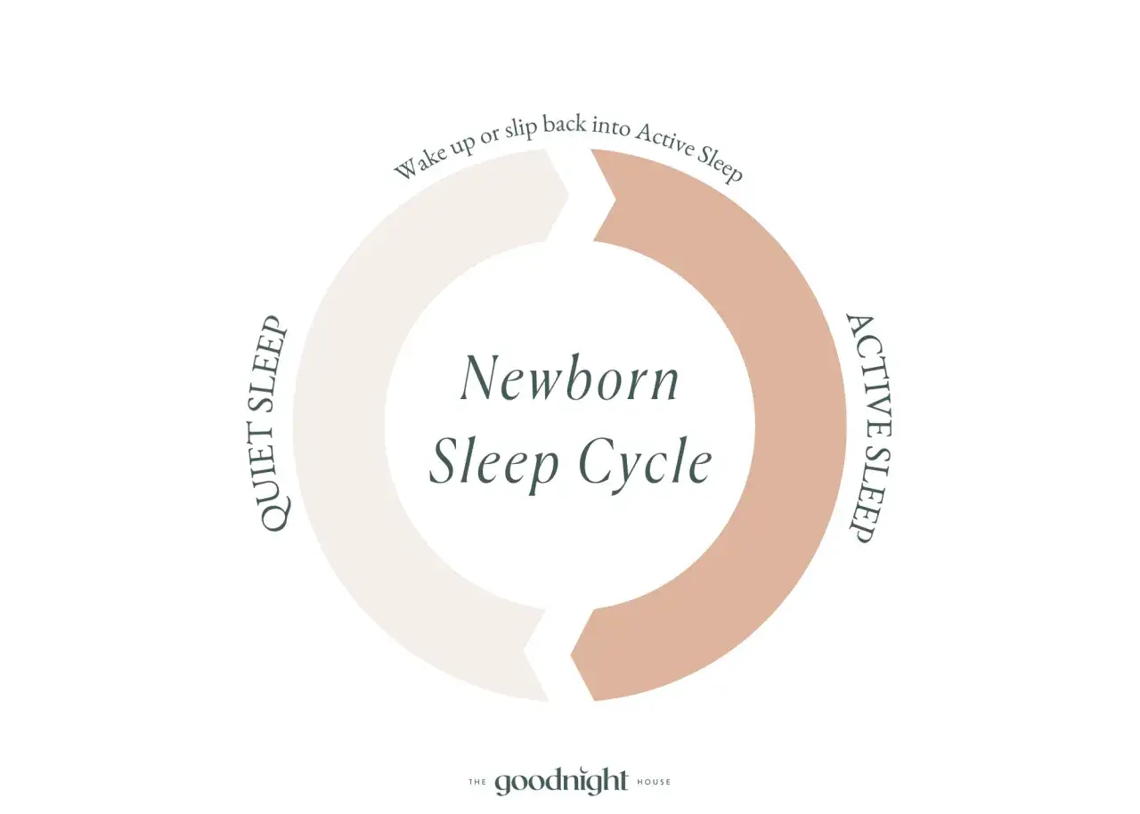 Diagrama del ciclo sueño bebé: sueño activo y sueño tranquilo. El bebé puede despertarse o volver al sueño activo.