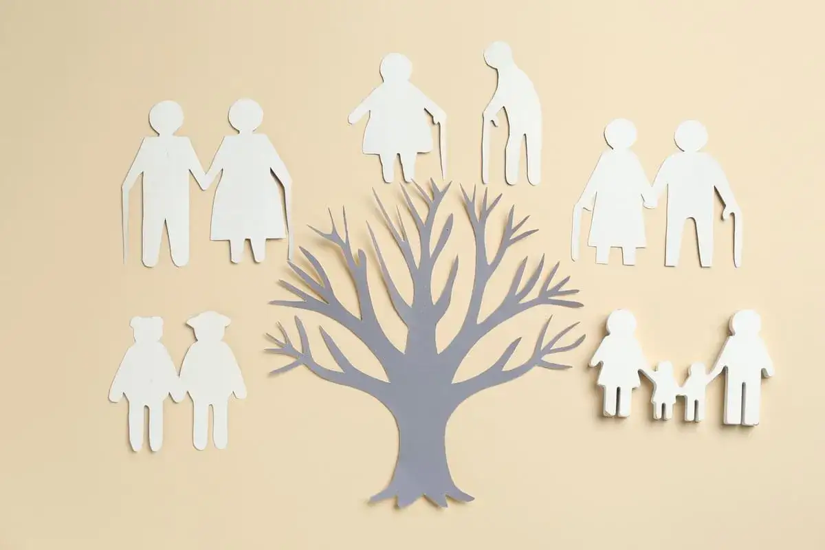 Drzewo genealogiczne z papieru symbolizuje pokolenia. Pytanie o zachowek po rodzicach do ilu lat jest ważne dla spadkobierców.