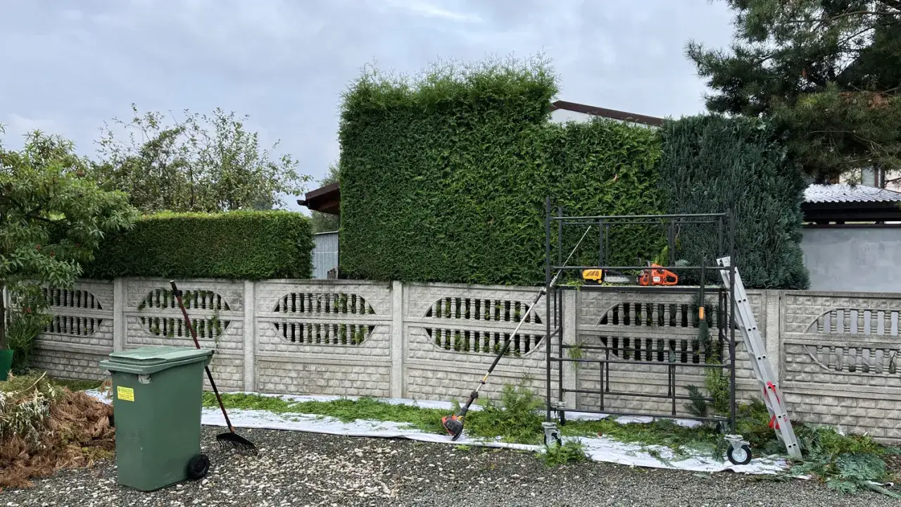 Przygotowania do przycinania tui od dołu. Na placu budowy stoją rusztowania, piła łańcuchowa, nożyce do żywopłotu, drabina i zielony kosz na odpady.