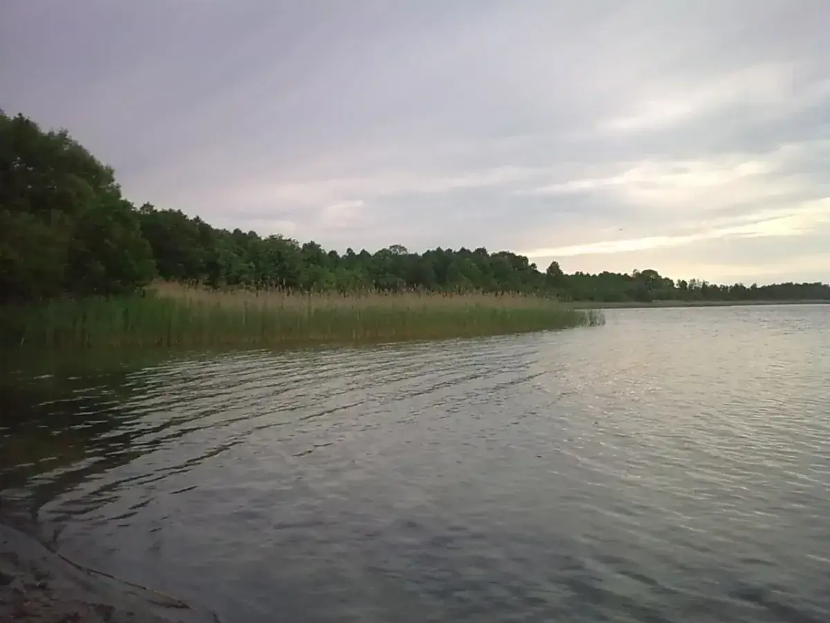 Spokojne jezioro Orłowskie o zachodzie słońca, z gęstą linią trzcin i drzew na brzegu.