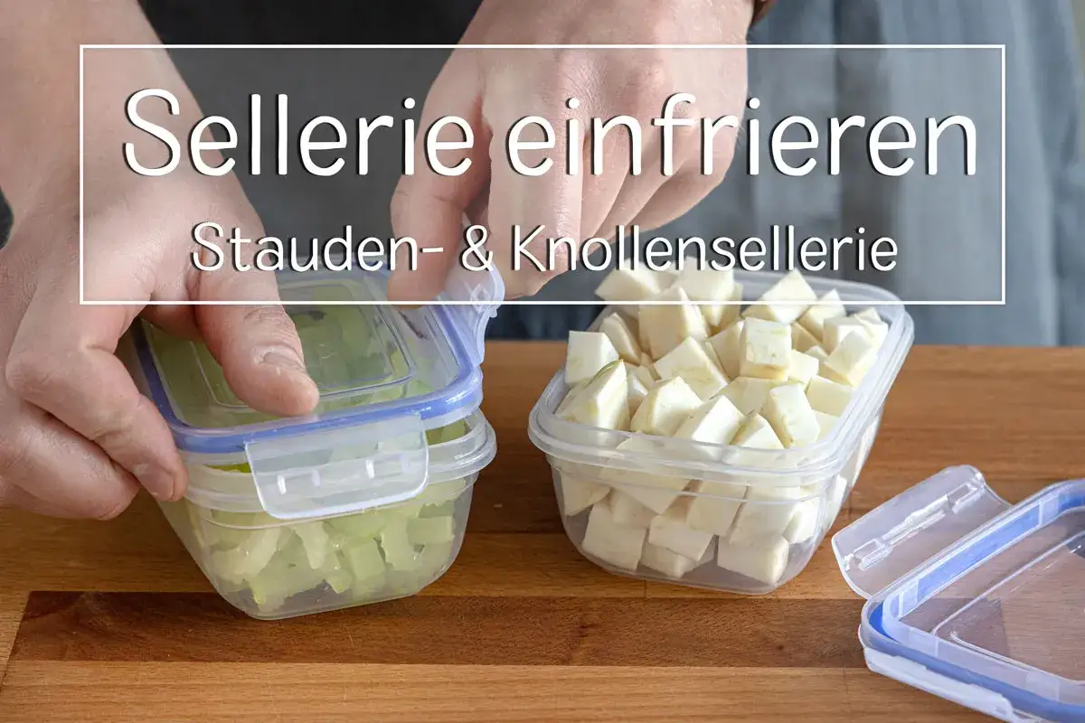 Vorbereitung zum Sellerie einfrieren: Stauden- und Knollensellerie in Beh&auml;ltern.