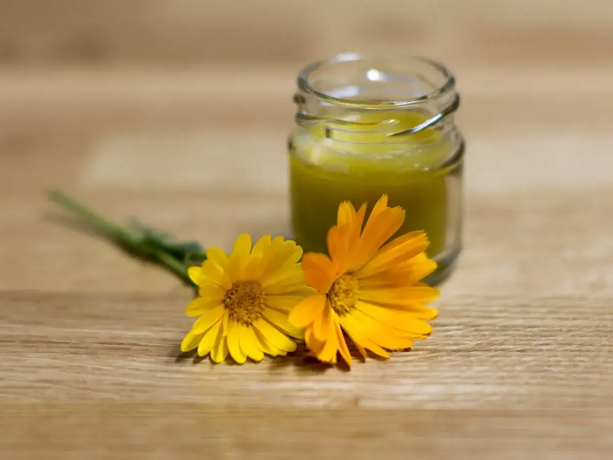 Ein Glas mit selbstgemachter Calendula-Creme steht neben zwei leuchtend orangen und gelben Ringelblumen auf einem Holztisch.