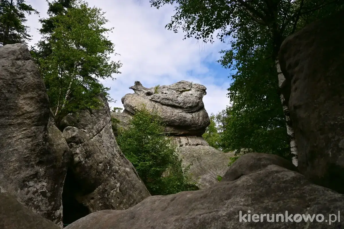 Skalny labirynt na trasie po Górach Stołowych. Monumentalne formacje skalne, drzewa i błękitne niebo.