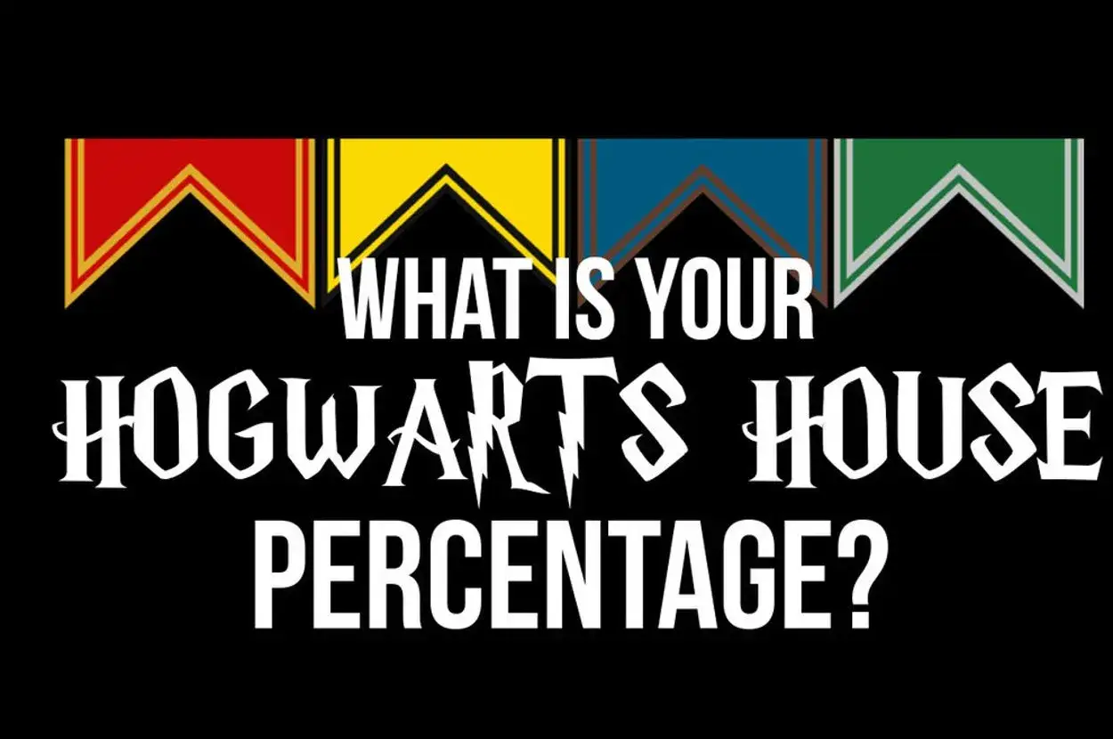 Kolorowe proporce dom&oacute;w Hogwartu nad tekstem 