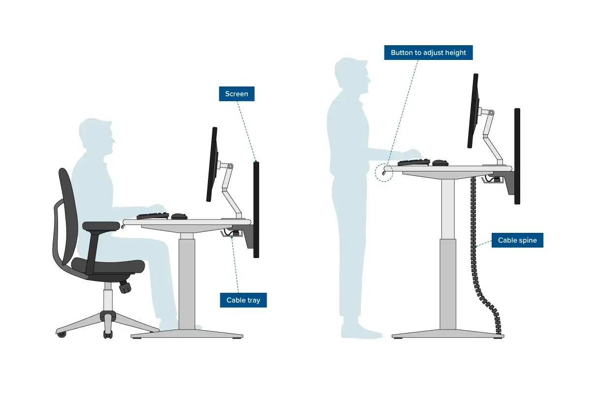 Dwie pozycje pracy przy komputerze: siedząca i stojąca, ilustrujące ergonomię pracy przy komputerze. Regulowana wysokość biurka i tacka na kable.