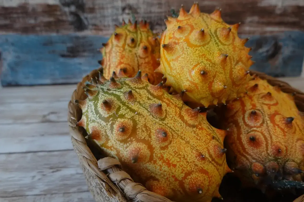 Kiwano w koszyku, gotowe do jedzenia. Jak jeść to egzotyczne owoce? Wystarczy przekroić i wydrążyć miąższ.