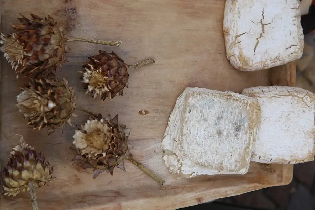 Carciofi secchi e formaggi artigianali, un connubio di sapori naturali. Il caglio vegetale esalta la genuinità.