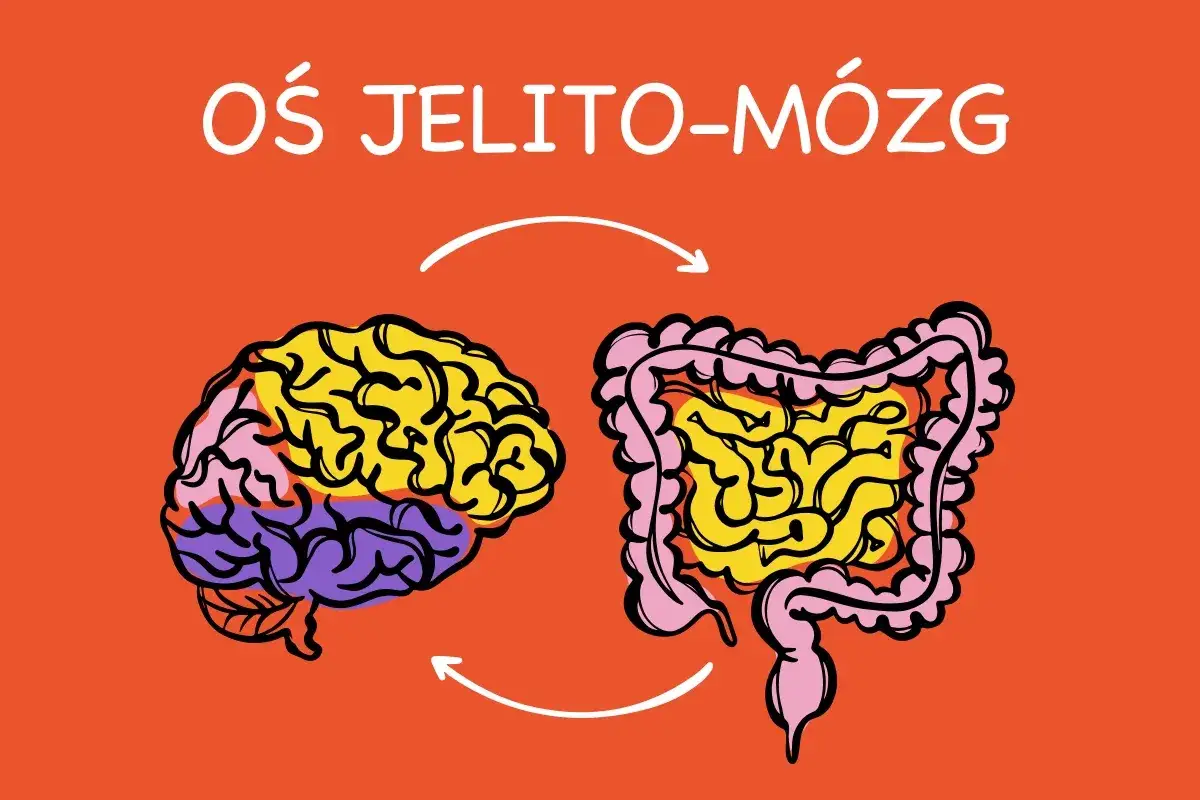 Oś jelito-mózg: jak Helicobacter pylori wpływa na objawy psychiczne, wywołując np. lęk czy depresję.