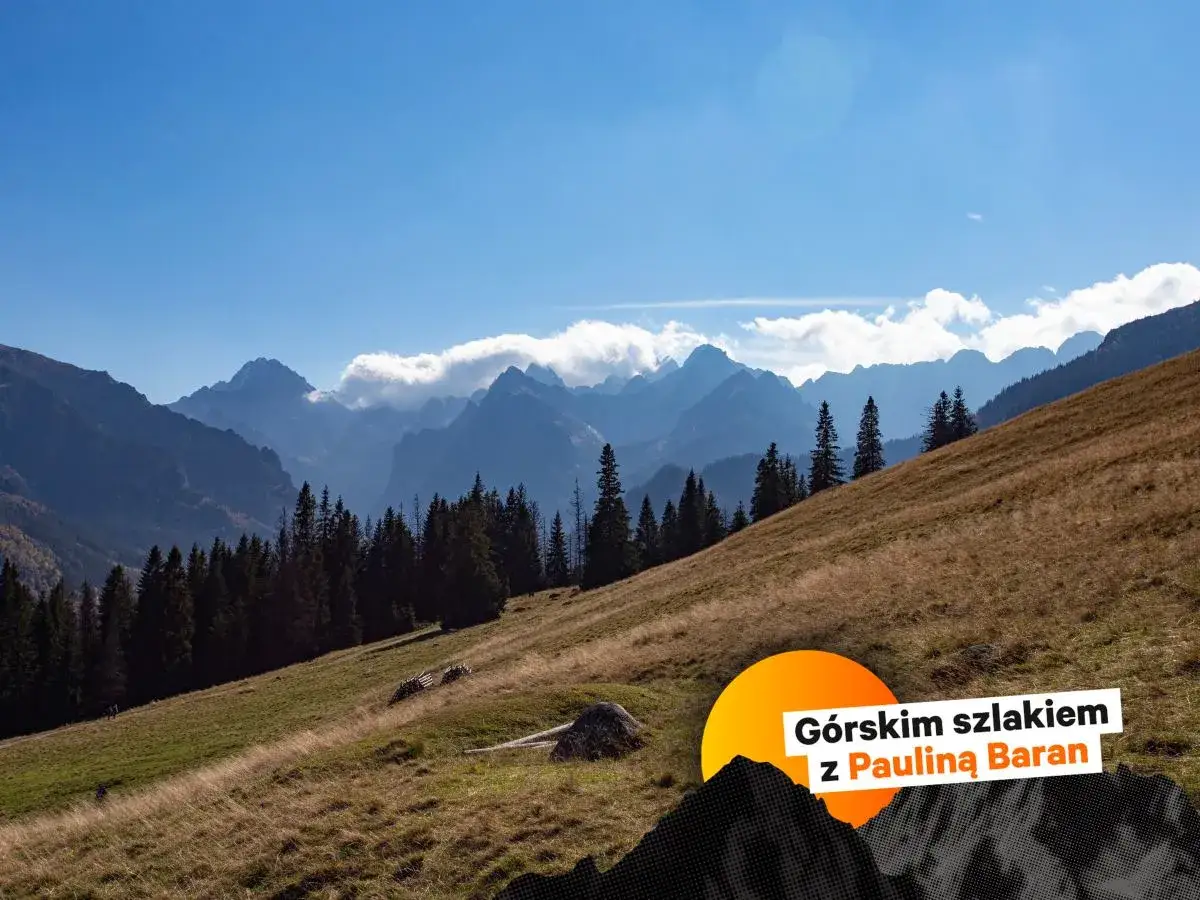 Gęsia szyja g&oacute;rskich szczyt&oacute;w w chmurach, jesienna trawa na zboczu.