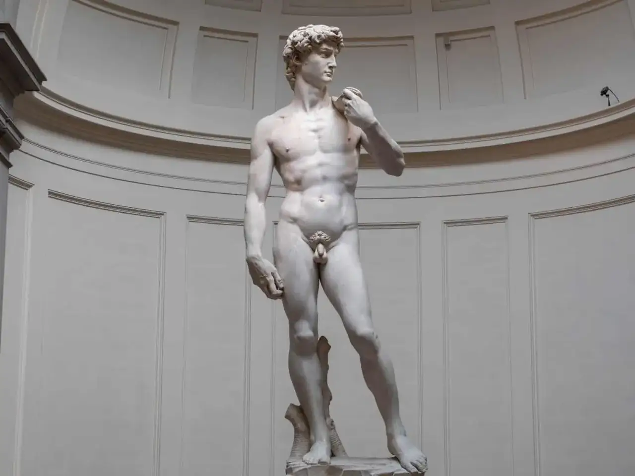 El David, una de las obras maestras de Miguel Ángel, exhibe su perfección anatómica y mirada desafiante.