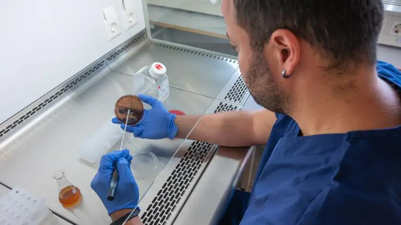 Ricerca in laboratorio per trovare una cura per l'Acinetobacter baumannii. Scienziato lavora con piastra Petri.