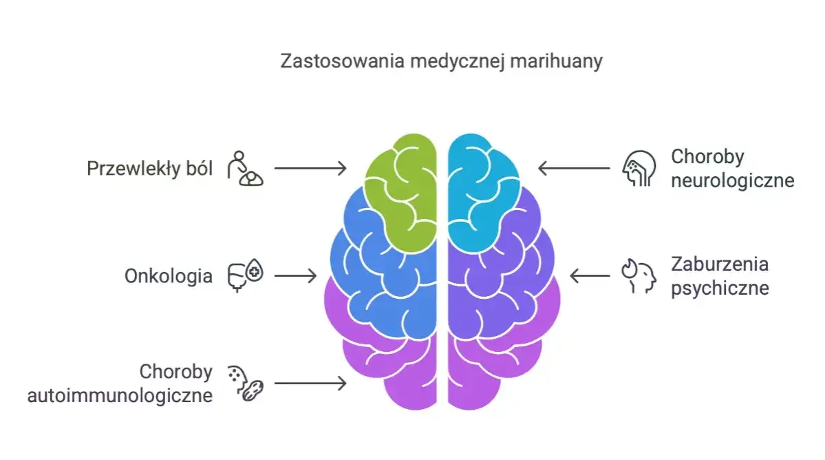 Medyczna marihuana zastosowania