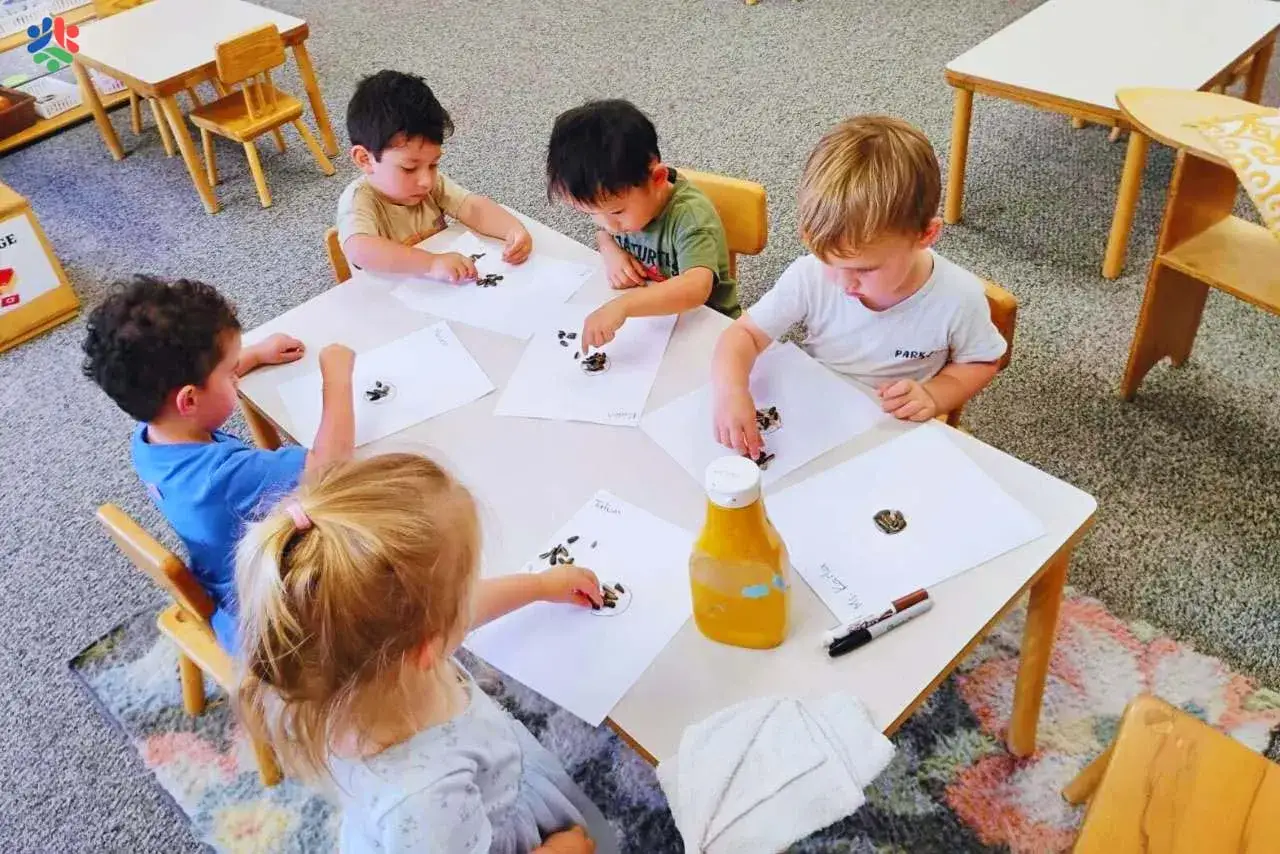 Dzieci uczą się przez zabawę, stosując metodę Montessori. Na kartkach układają nasiona, rozwijając małą motorykę.