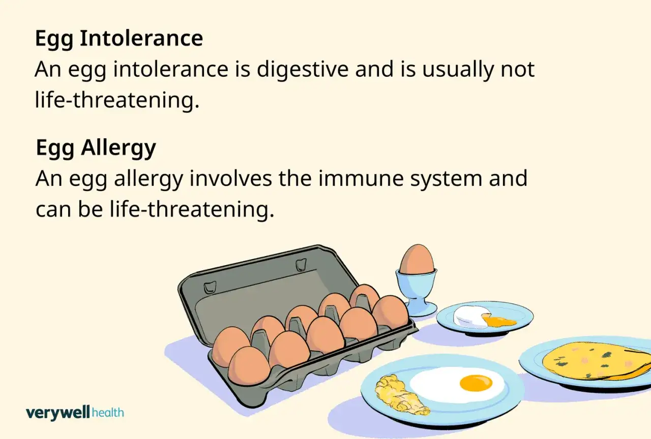 Une boîte d'œufs, un œuf à la coque, un œuf poché et une omelette. L'image explique la différence entre intolérance et allergie aux œufs, y compris l'allergie à l'œuf cru.