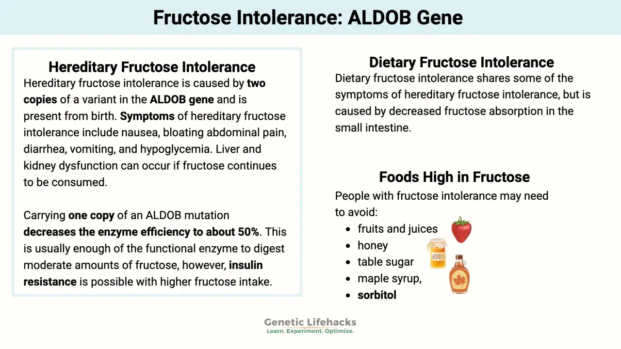 Fructoseintoleranz symptome wie Übelkeit, Blähungen, Durchfall und Erbrechen können bei hereditärer Fruktoseintoleranz auftreten.
