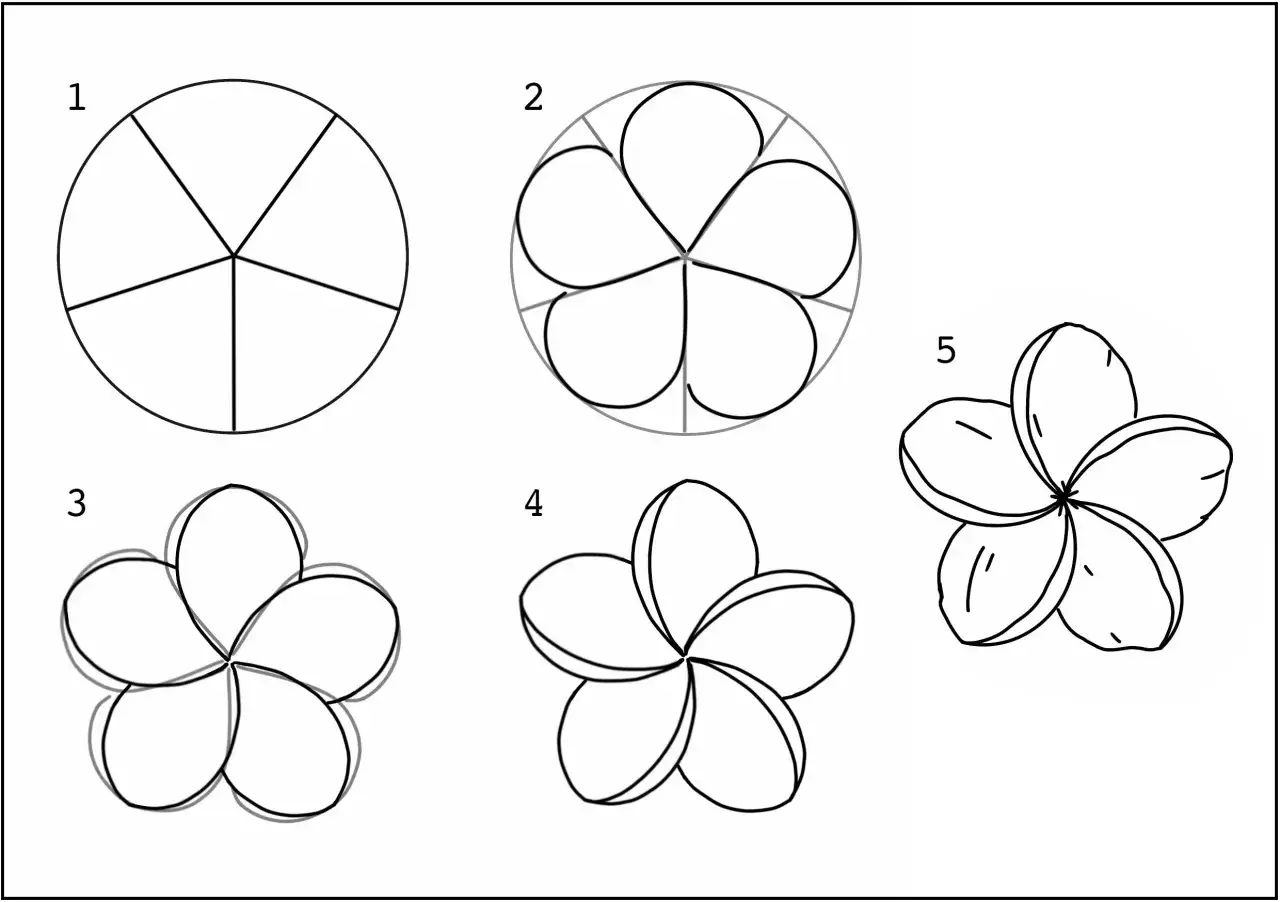 Illustration montrant les &eacute;tapes d'un fleur dessin.