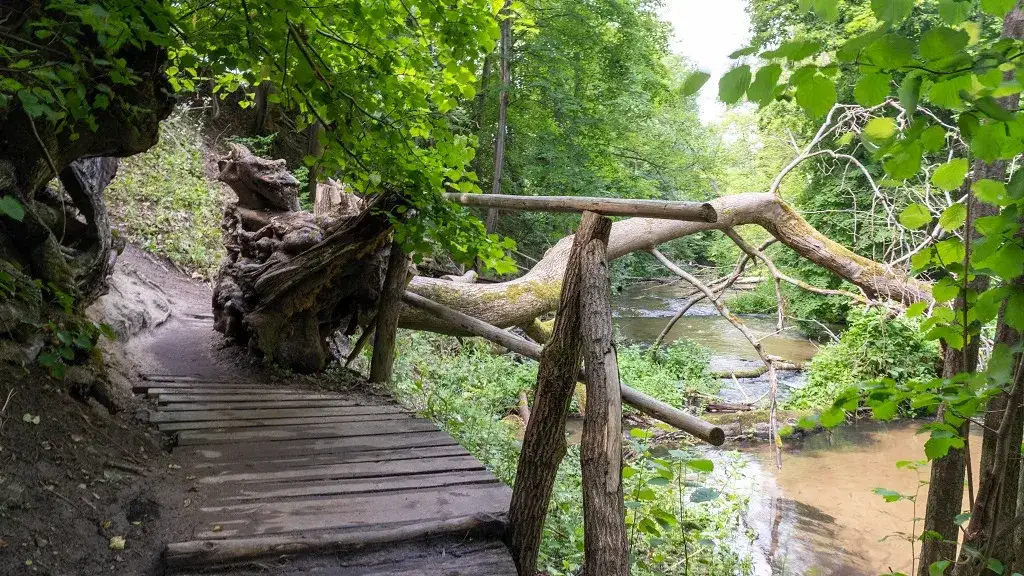 Szumy nad Tanwią Roztocze atrakcje turystyczne