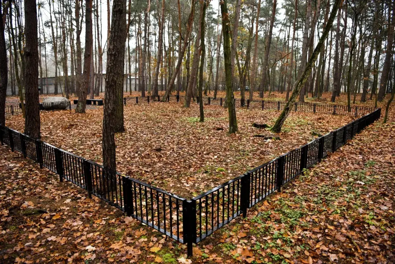 Las jesienią, ścieżka wyłożona liśćmi, ogrodzona kanciastym płotkiem. Czy w Polsce można rozsypywać prochy zmarłych?