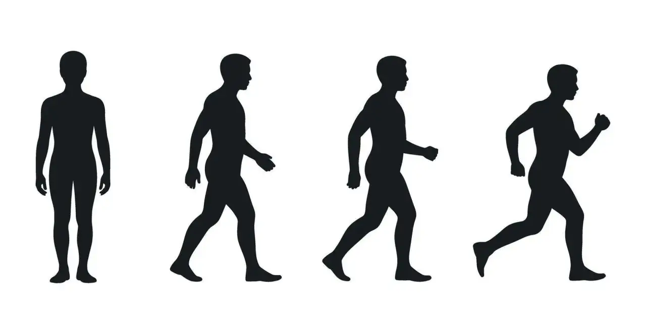 Cztery sylwetki ludzi: stojąca, idąca, w szybkim marszu (power walking) i biegnąca.