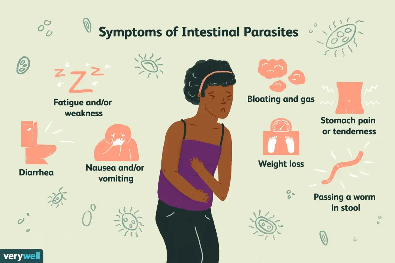 Sintomi di parassiti intestinali: stanchezza, nausea, gonfiore, dolore addominale. Scopri come eliminare i parassiti dal corpo in modo naturale.
