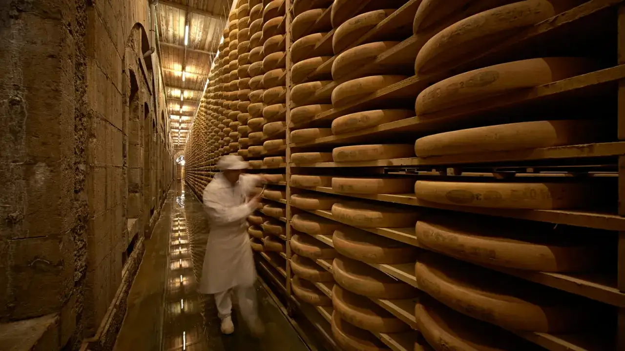 Un homme en blouse blanche s'affaire dans une cave remplie de meules de comt&eacute; p&acirc;te cuite, empil&eacute;es sur des &eacute;tag&egrave;res en bois.
