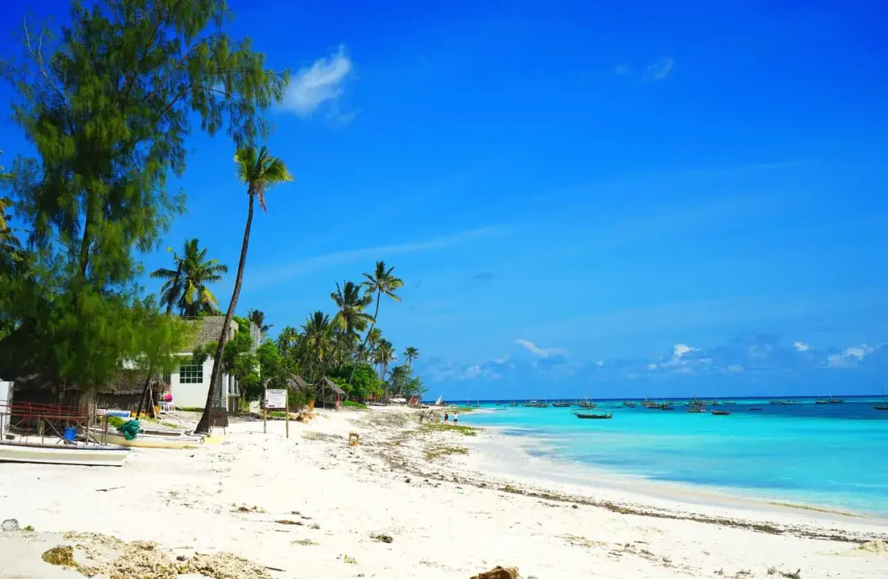 Rajska plaża na Zanzibarze z palmami i łodziami na turkusowym morzu. Sprawdź aktualne zanzibar ceny, by zaplanować wymarzone wakacje.