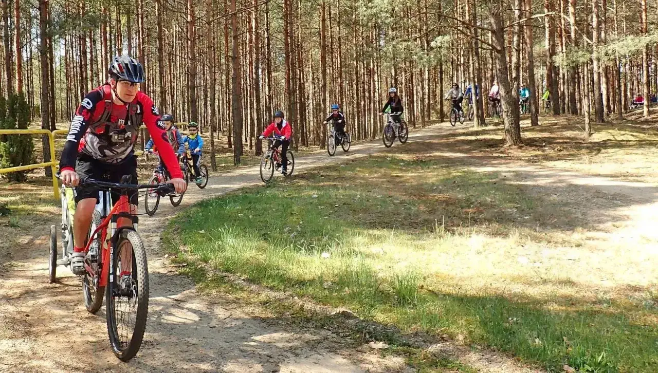 Grupa rowerzyst&oacute;w przemierza malownicze bory tucholskie, korzystając z urokliwych tras rowerowych.