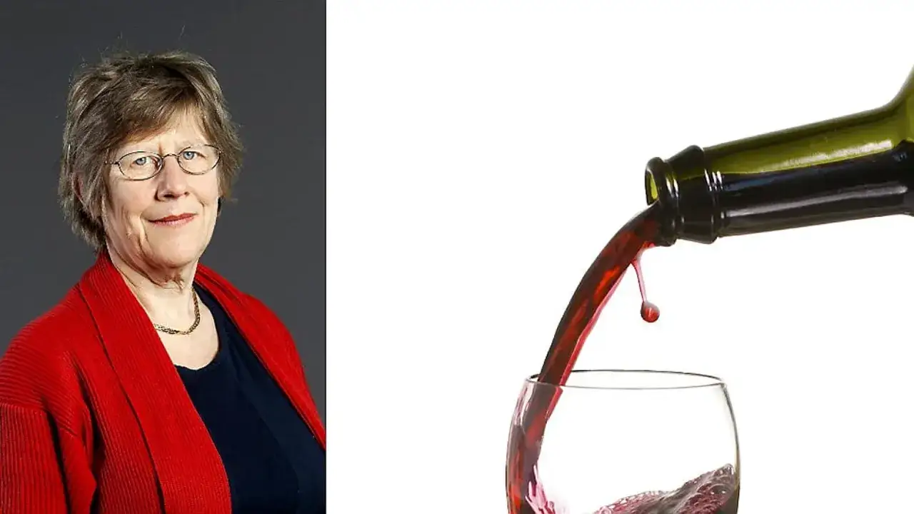 Kvinna med glas&ouml;gon och r&ouml;d kofta bredvid r&ouml;tt vin som h&auml;lls upp. Viktigt att undvika alkohol tidig graviditet.