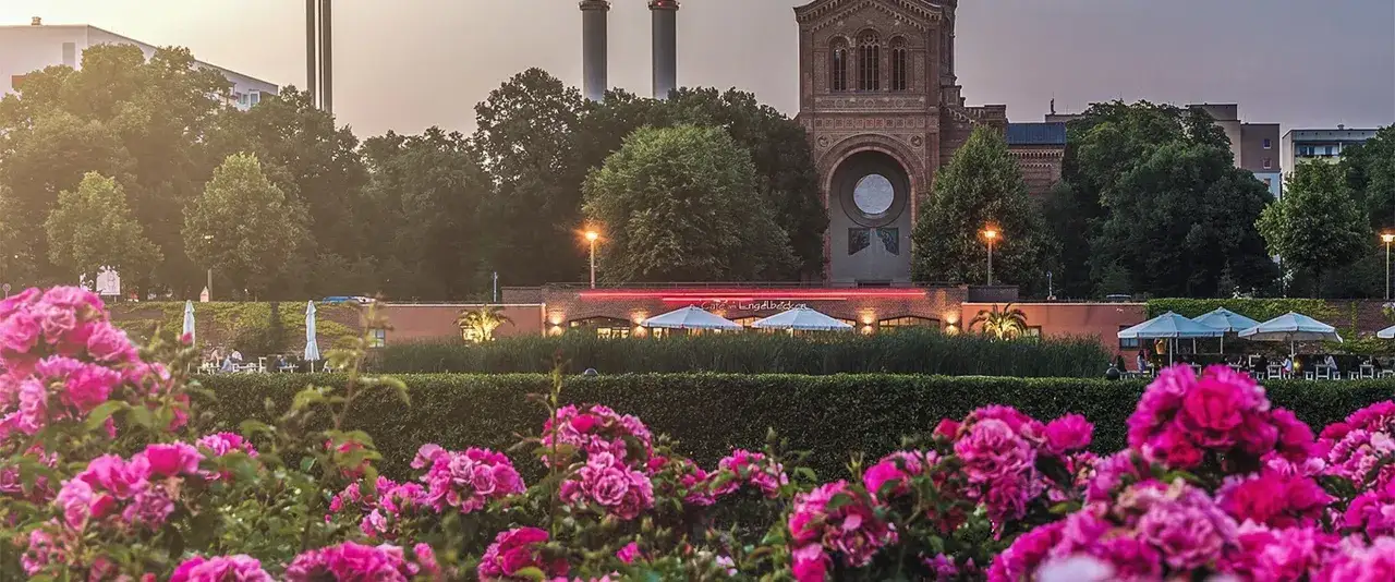 Ein bl&uuml;hender Rosengarten im Blumental Berlin mit Blick auf das Caf&eacute; am Engelbecken und historische Geb&auml;ude im Abendlicht.