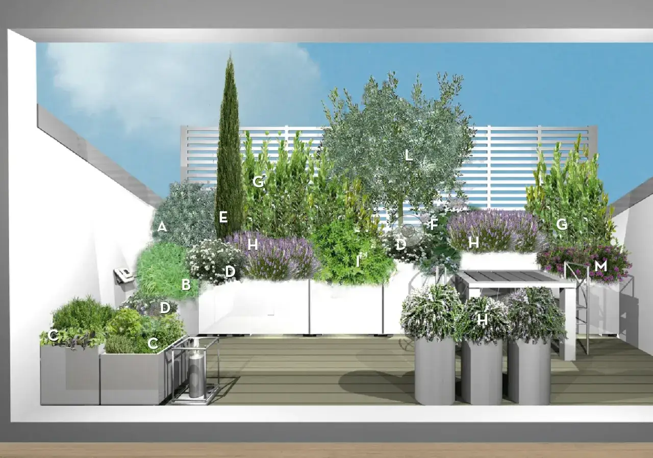 Terrazza sul tetto idee: un'oasi verde con lavanda, ulivo e cipresso. Contenitori moderni e arredi eleganti creano uno spazio rilassante.