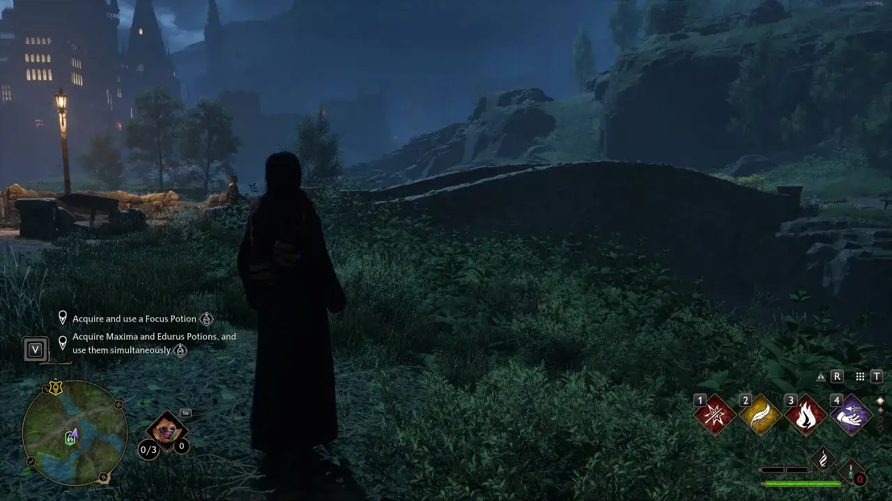 Nocny widok na zamek w Hogwarts Legacy. Postać w szacie stoi na ścieżce, a w tle widać most i skaliste wzgórza. To duch naszej miłości do tego świata.