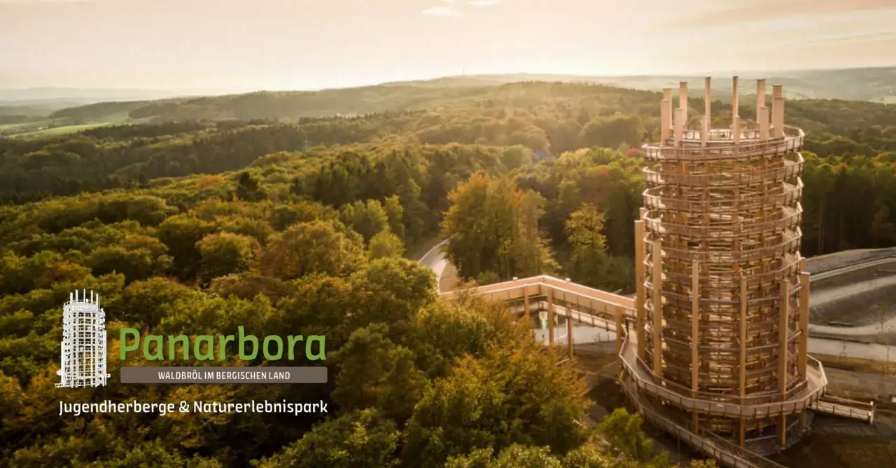 Der Panarbora Baumwipfelpfad NRW bietet einen atemberaubenden Blick über den herbstlichen Wald.
