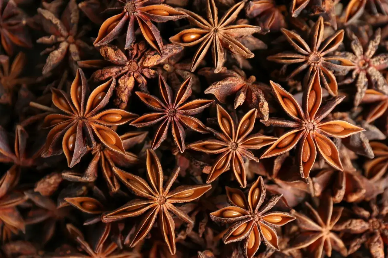 Gros plan sur des anis &eacute;toil&eacute;s. Attention, l'anis &eacute;toil&eacute; japonais, ressemblant, est toxique.
