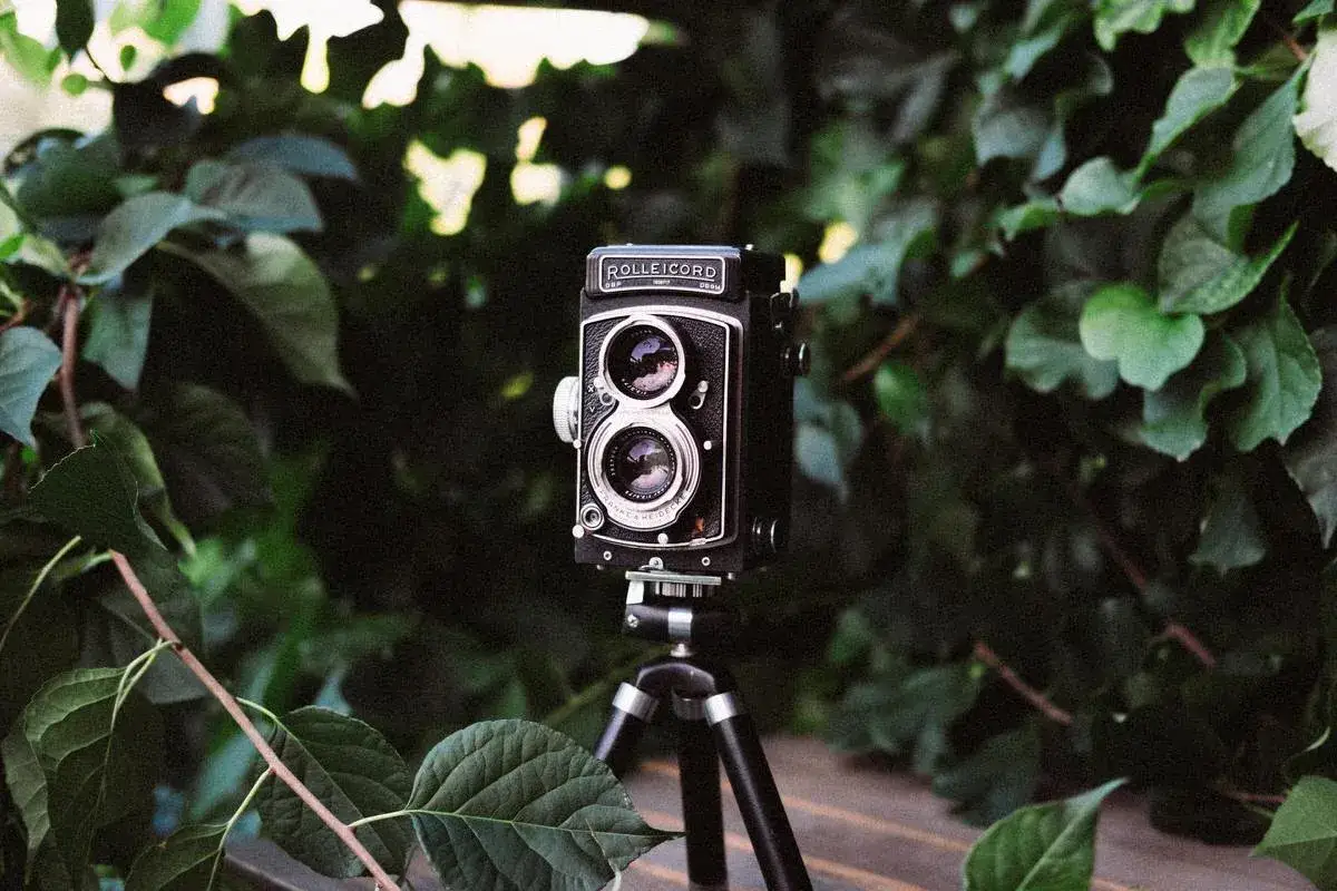Stary aparat Rolleicord na statywie, otoczony zielenią. Idealny do nauki, jak wywołać zdjęcia z kliszy.