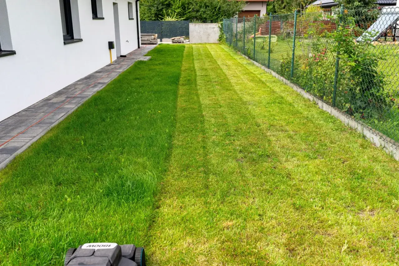 Trawnik po zimie odzyskuje zieleń. Kosiarka właśnie zaczęła pracę, tworząc idealne pasy na odświeżonej murawie.