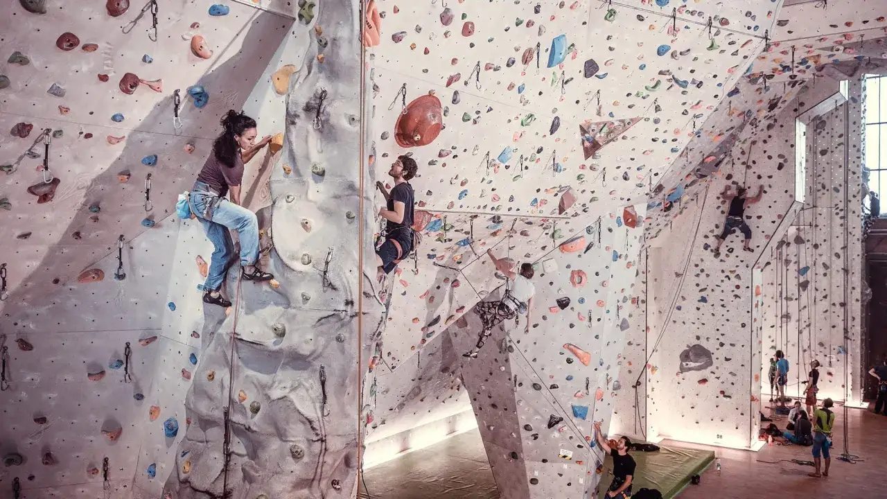 Menschen klettern an einer hohen Wand mit Griffen. Der Unterschied zwischen Klettern und Bouldern wird hier deutlich: Klettern mit Seil, Bouldern ohne.