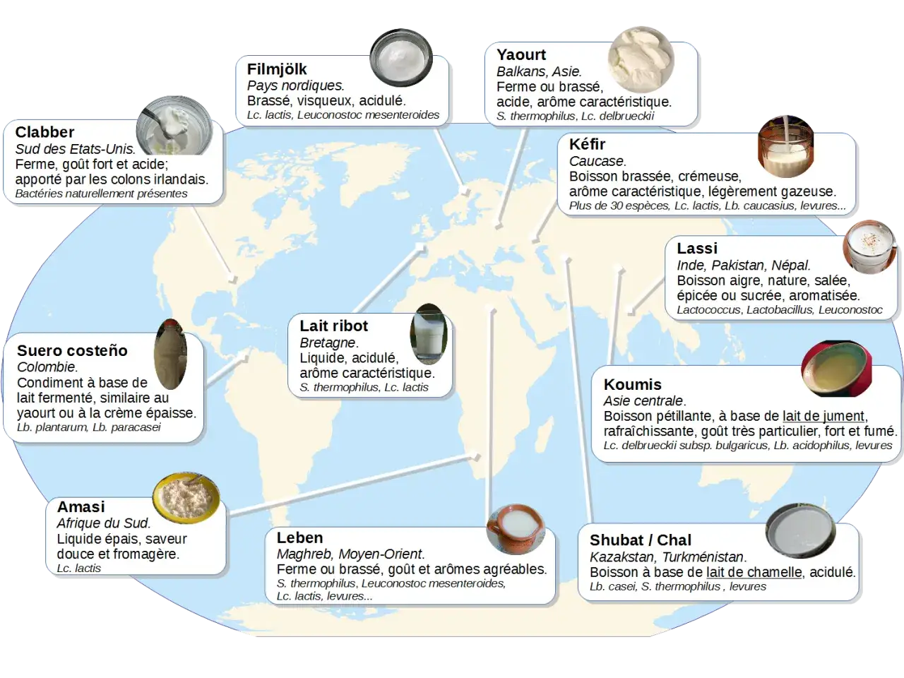 Carte mondiale des ferments lactiques et yaourts : du Filmj&ouml;lk nordique au Lassi indien, en passant par le Koumis d'Asie centrale.